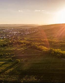Sonnenuntergang im Burgenland